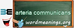 WordMeaning blackboard for arteria communicans